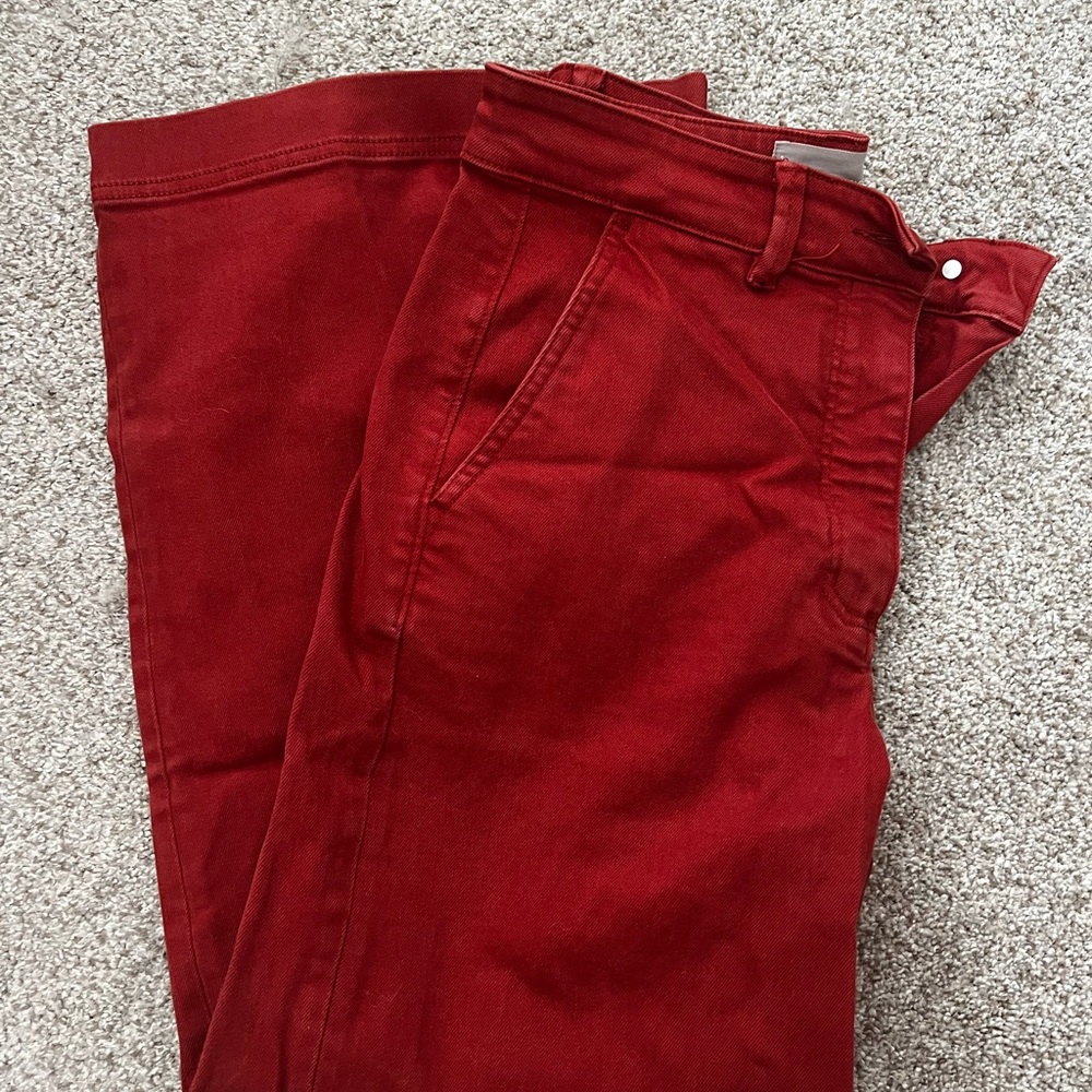 Everlane rust color pants, full length - women’s 6